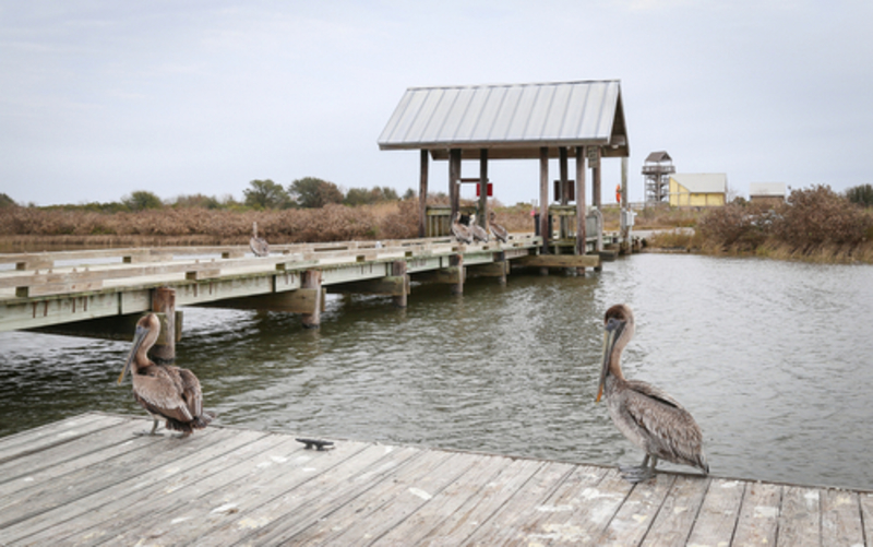 Grand Isle State Park – Louisiana | Shutterstock