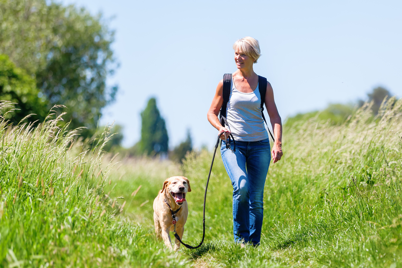 Aim for Inclines | Shutterstock