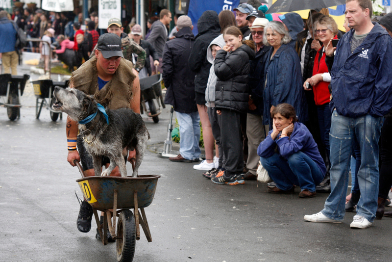 Unique New Zealand Festivals You’ve Never Heard of | Alamy Stock Photo