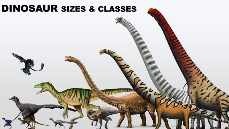 New Dinosaur Discoveries: Eggs, Embryos, Teeth, and Much More | 