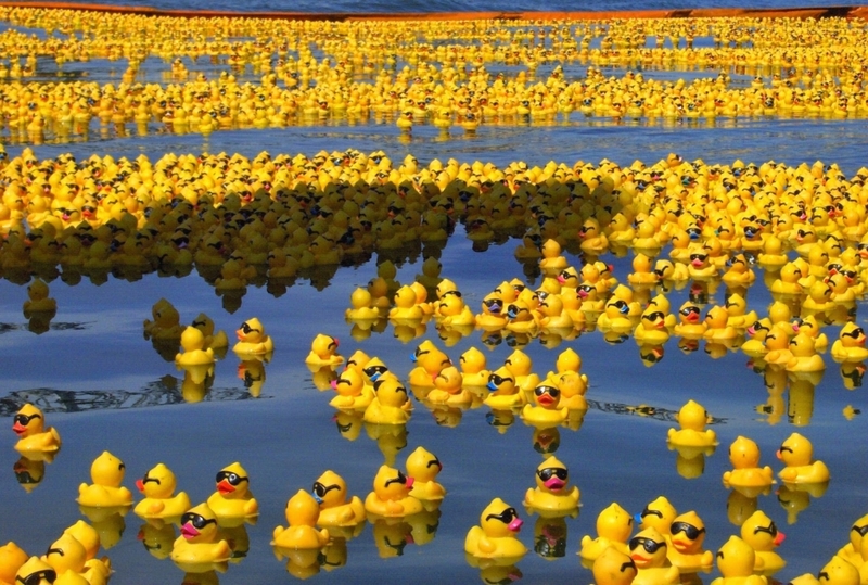 Rubber Duckies | 