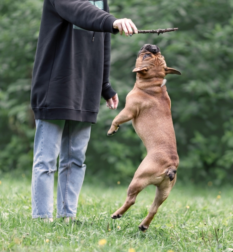 Careful When You Jump | Alamy Stock Photo by Irina Nedikova 