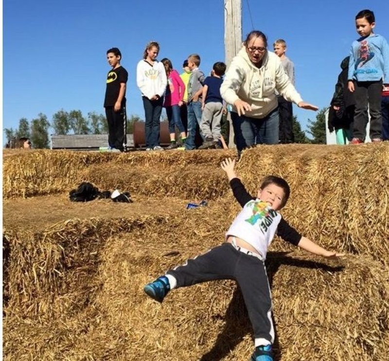 Hay, Help! | Imgur.com/b2CZmbg