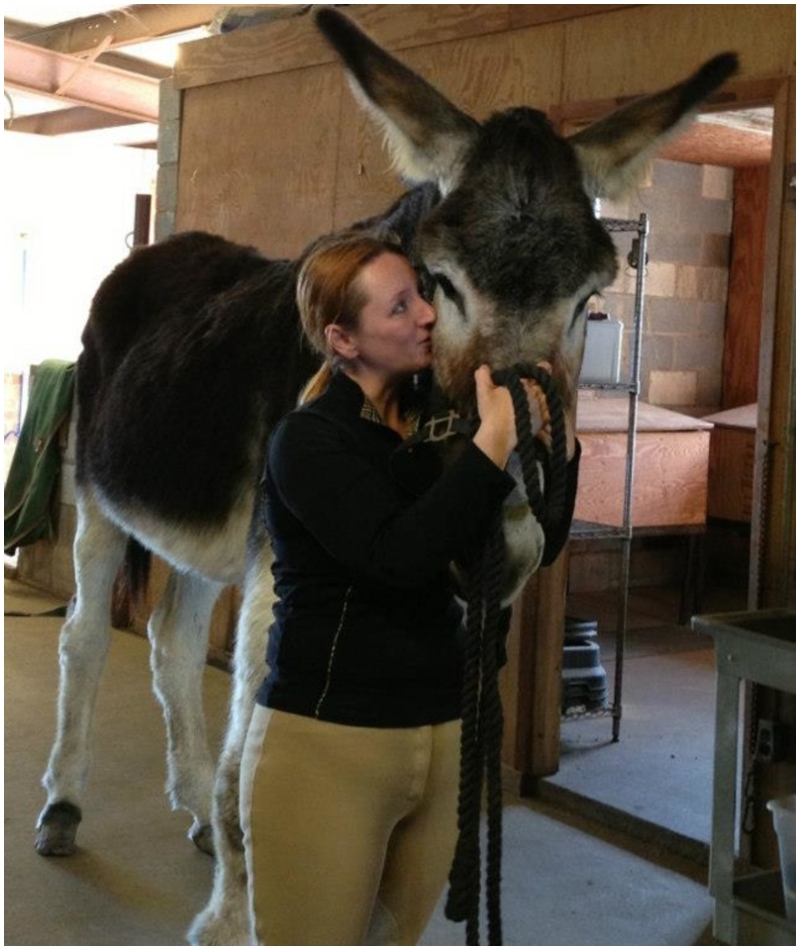 The Friendly 17 Hands Donkey | Facebook/@WorldsTallestDonkey