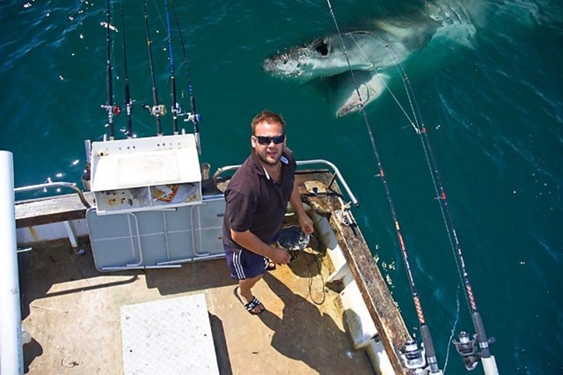 Come on, Jump in – the Water's Great! | Imgur.com/m5abk