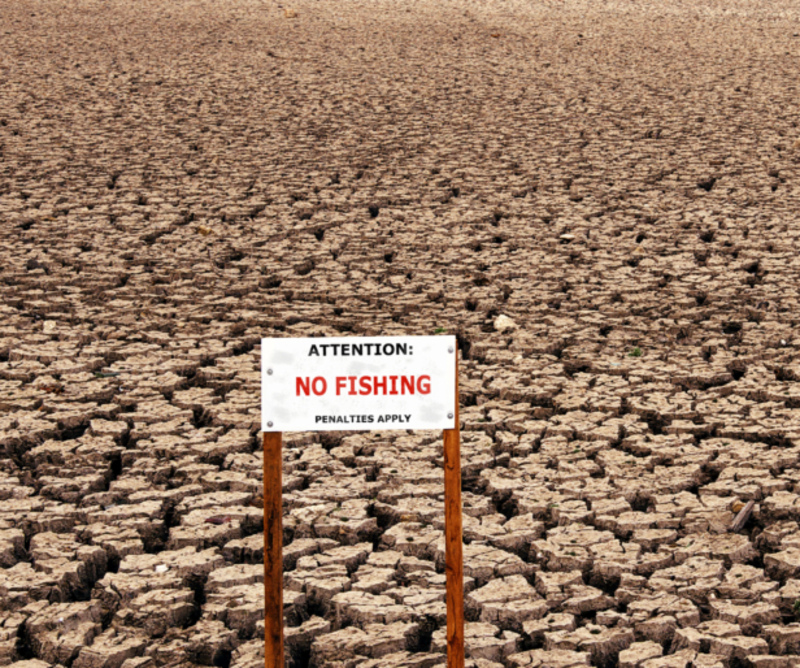 Dry Land Fishing | Alamy Stock Photo