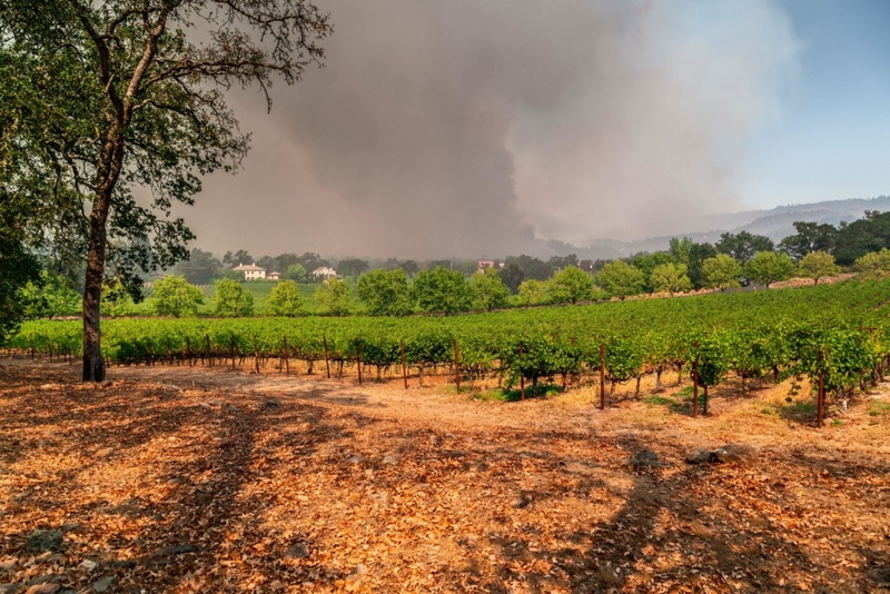 Napa Is In Danger | Alamy Stock Photo