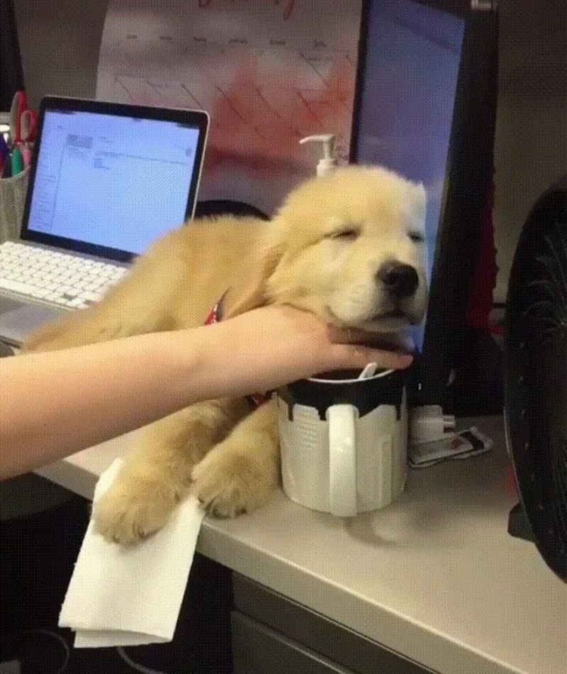 Office Hours | Imgur.com/ctAJUV8