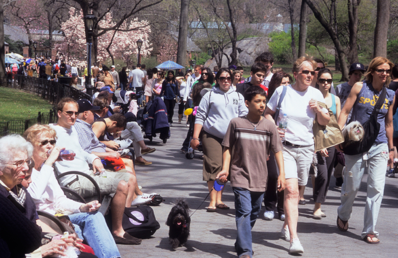 Reality: Central Park, United States | Alamy Stock Photo by Sandra Baker 