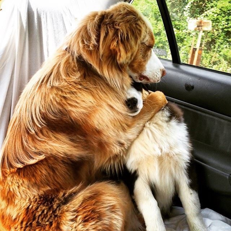 In the Arms of an Angel | Imgur.com/SazaHUq