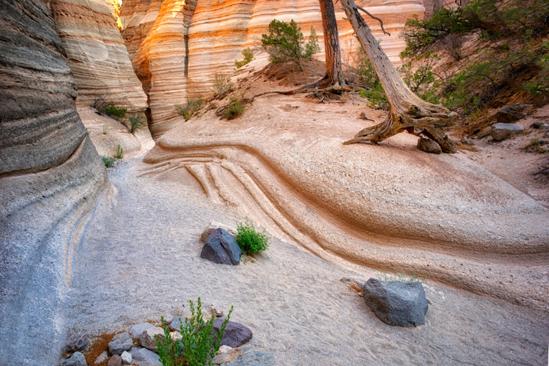 New Mexico | Alamy Stock Photo by Dennis Frates 