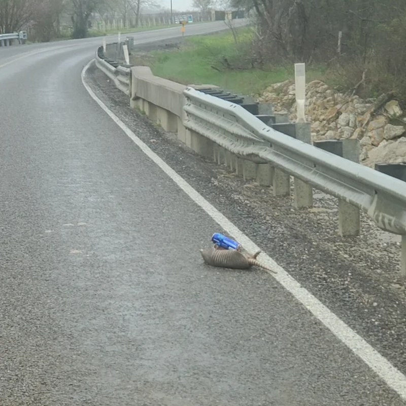 Taking a Sip on the Side of the Road | Reddit.com/kaileywilhite