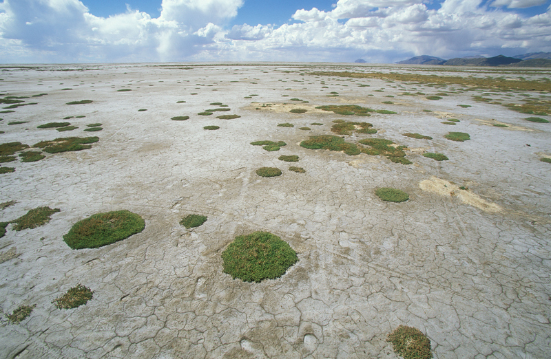 Lake Poopó | Alamy Stock Photo by Anders Ryman