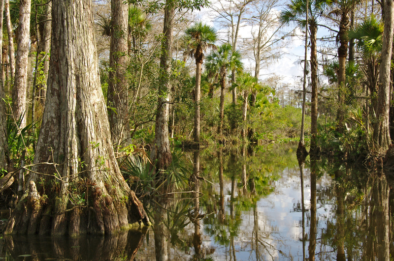 Lost City, FL | Anthony Ricci/Shutterstock