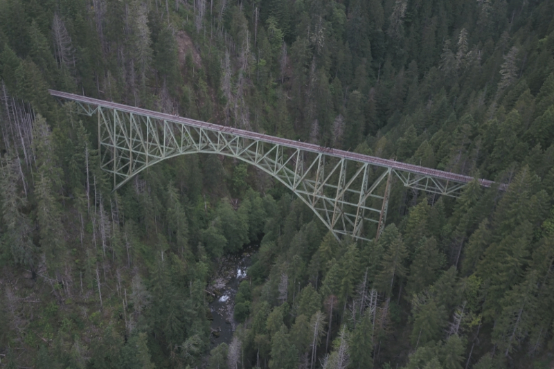 The Vance Creek Bridge | Vincent Henrikson/Shutterstock