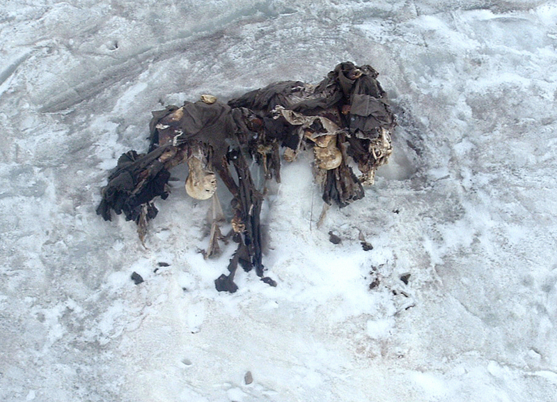 WWI Remnants | Getty Images Photo by MAURIZIO VICENZI/AFP 