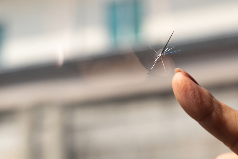 Patch up Windowscreen Holes with Nail Polish | Shutterstock Photo by Yuwarin Stockphoto