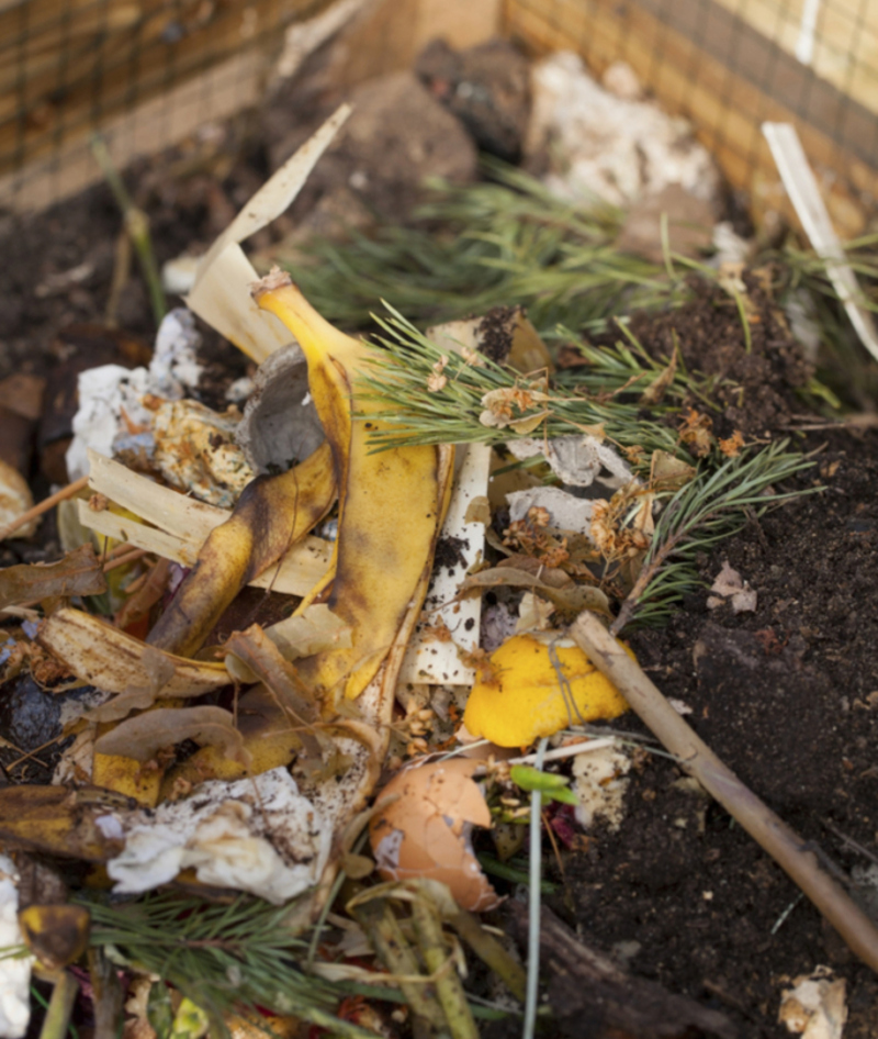 Banana Peels = Compost | Shutterstock