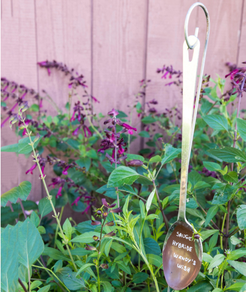 Cute Spoon Labels | Alamy Stock Photo by Yann Avril/Biosphoto