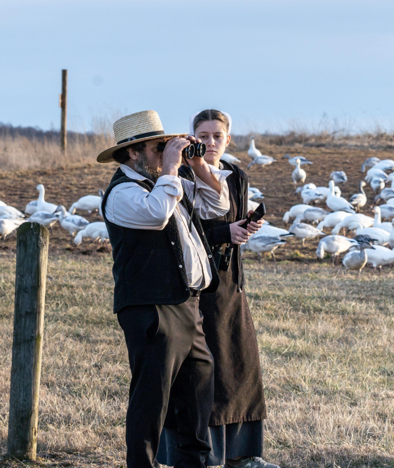 The Amazing Race | Alamy Stock Photo by Amy Lee 