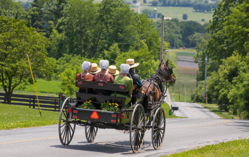 Not Your Typical Honeymoon | Alamy Stock Photo by Jeffrey Phelps/Aurora Photos/Cavan Images 