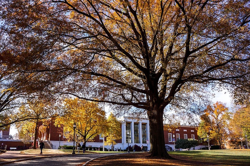 Johns Hopkins University - $4.3 Billion | Getty Images Photo by JHU Sheridan Libraries/Gado