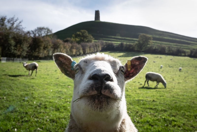 Just Like Us | Alamy Stock Photo by Lee Thomas 