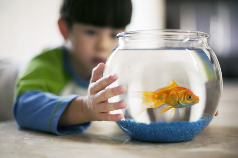 Safely Transport Fish | Getty Images Photo by Randy Faris