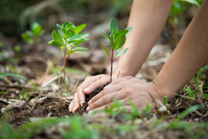 Social Responsibility Matters | Tinny Photo/Shutterstock