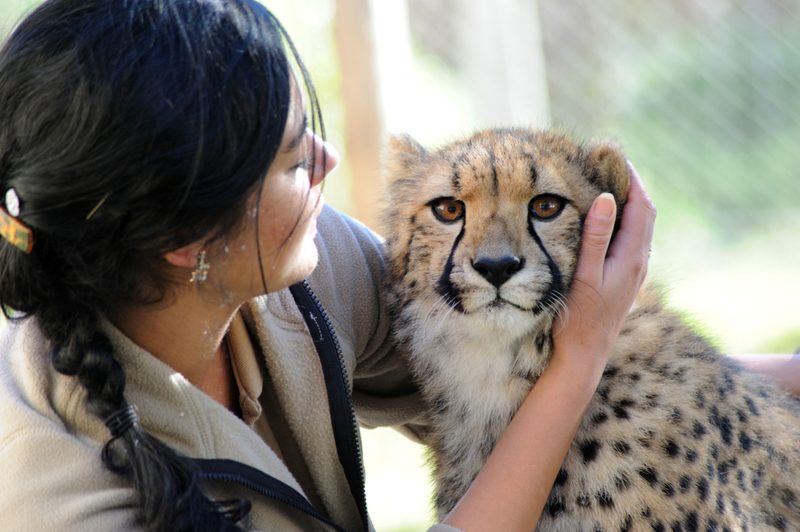 Awww! | Alamy Stock Photo