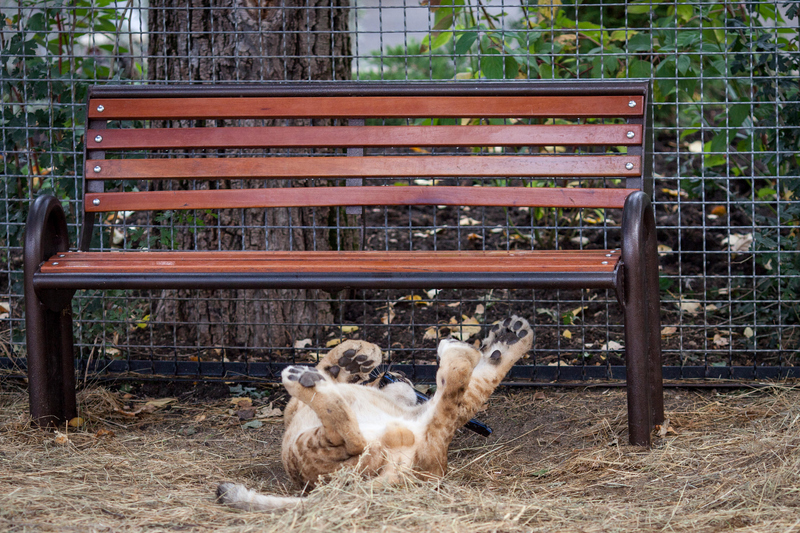 Waiting for Someone to Sit | Alamy Stock Photo