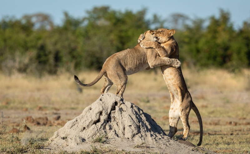 Been So Long! | Alamy Stock Photo