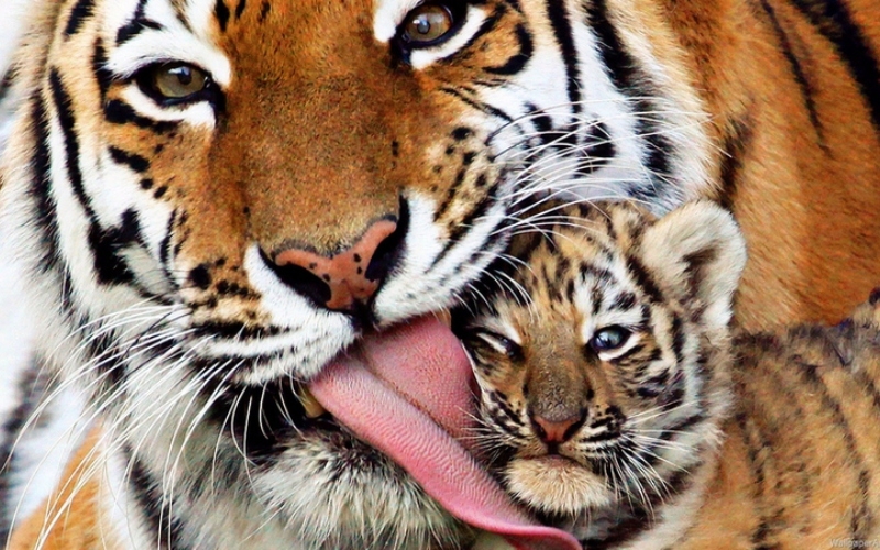 Bath Time! | Shutterstock