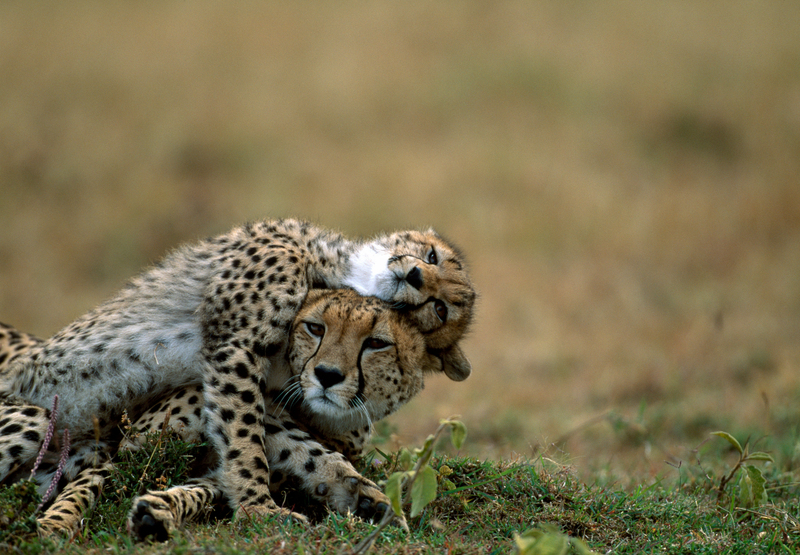 Mom, Are You Busy? Mom? Mom? | Alamy Stock Photo