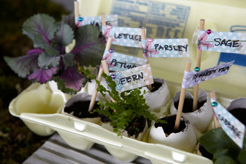 Label Your Seeds | Alamy Stock Photo by KQS