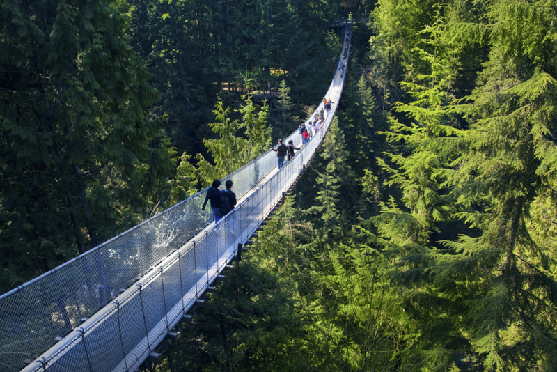 Capilano Suspension Bridge – Canada | Alamy Stock Photo by Bill Heinsohn