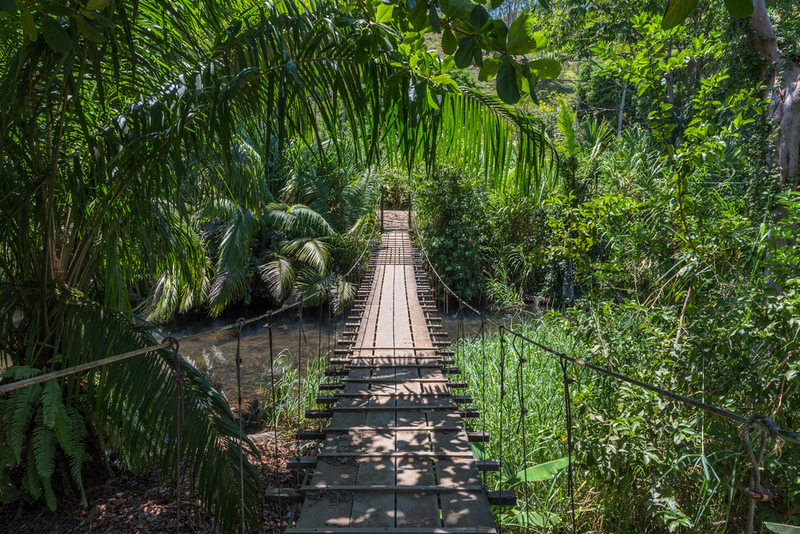 Drake Bay bridge, Costa Rica | Shutterstock Photo by Rainer Lesniewski