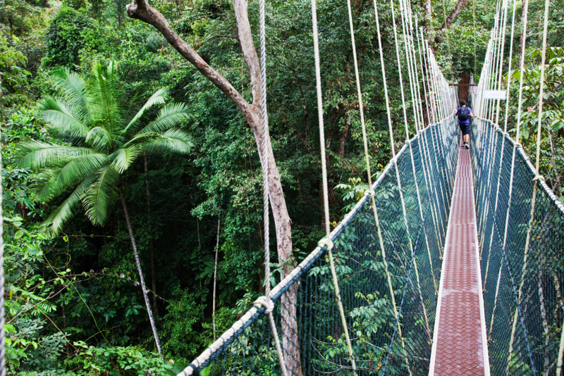 Taman Negara Canopy Walkway – Malaysia | Alamy Stock Photo by Andy Selinger