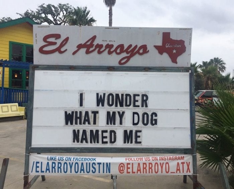 A Man's Best Friend | Facebook/@elarroyoatx