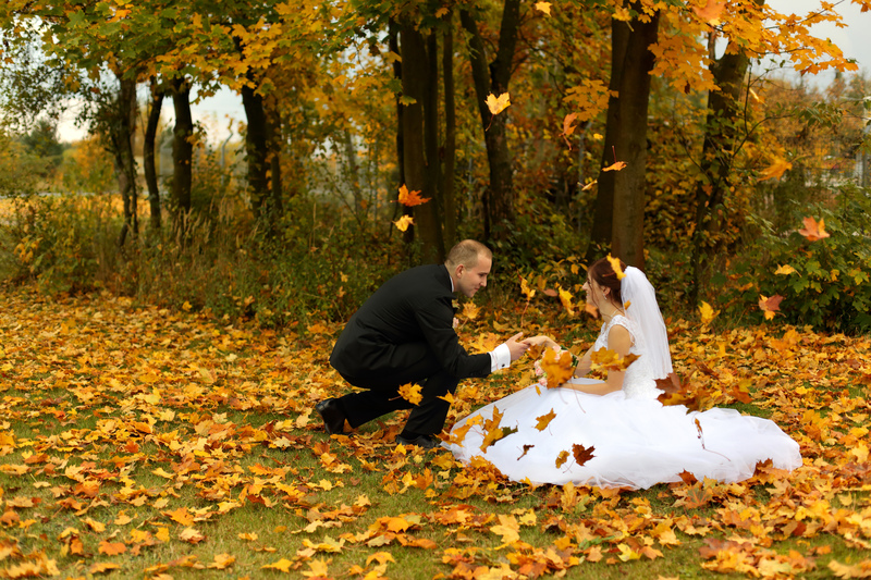 Leaf Her Alone! | Adobe Stock Photo by Stanisław Błachowicz