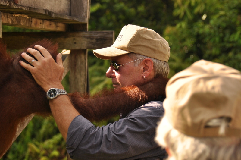 Conservation Work | Alamy Stock Photo