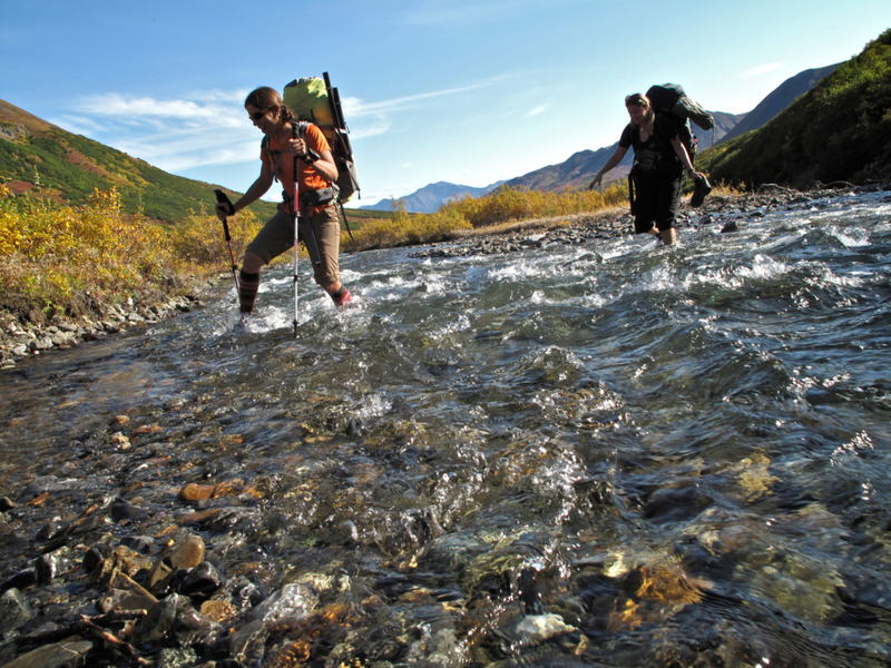 Denali National Park, Alaska | Alamy Stock Photo