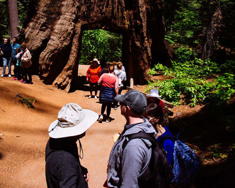 Yosemite National Park Today | Getty Images Photo by Hugh Peterswald/Pacific Press/LightRocket