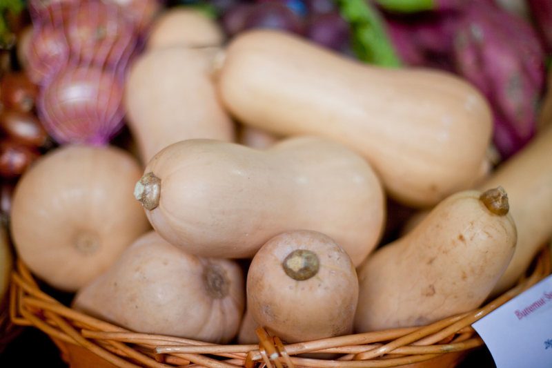 Butternut Squash | Alamy Stock Photo by Fotomaton