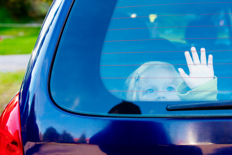 Sleeping in the Rear Window | Shutterstock Photo by Petr Bonek