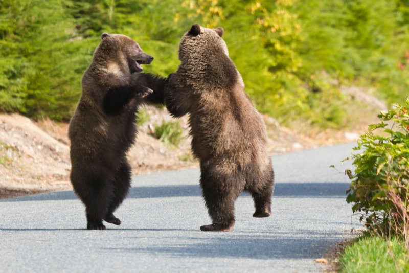 Alaska (Part 2) | Alamy Stock Photo