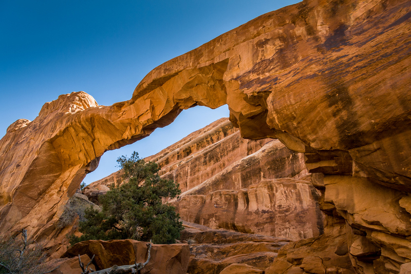 Wall Arch | Laurens Hoddenbagh/Shutterstock