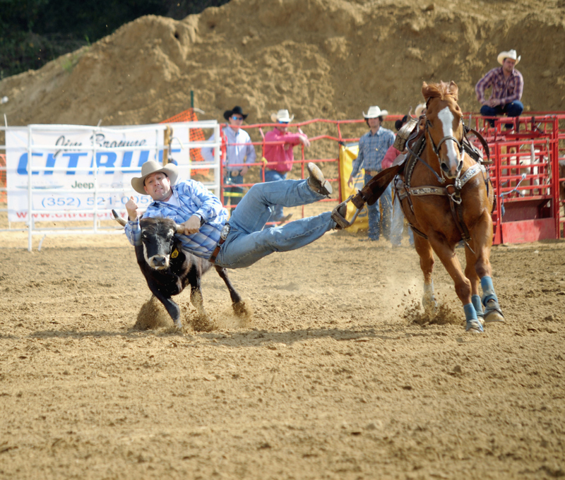 From Bronco to Bessie | Alamy Stock Photo by nick barounis 