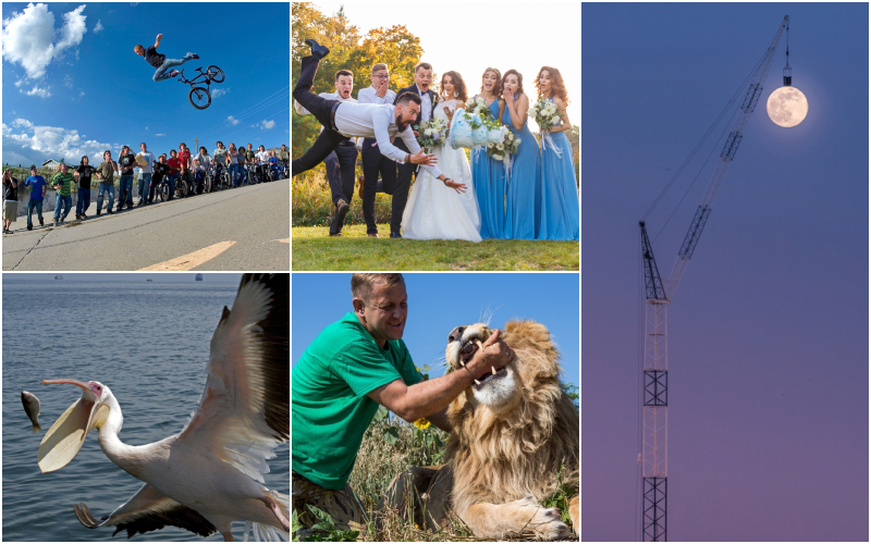 These Hilarious Pictures Are Perfectly Timed | Shutterstock & Alamy Stock Photo by Sam Adams / Aurora Photos / Cavan Images