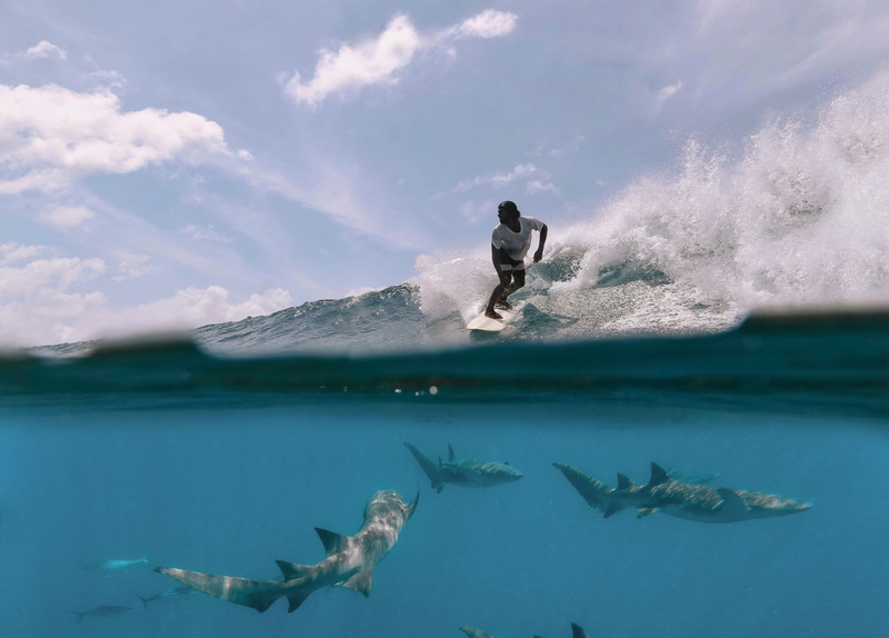 Like a Scene From “Jaws” | Alamy Stock Photo by Cavan Images 